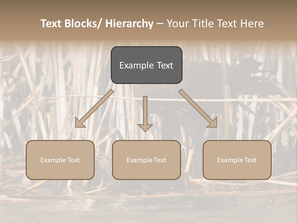 Harrier Brown Predator PowerPoint Template