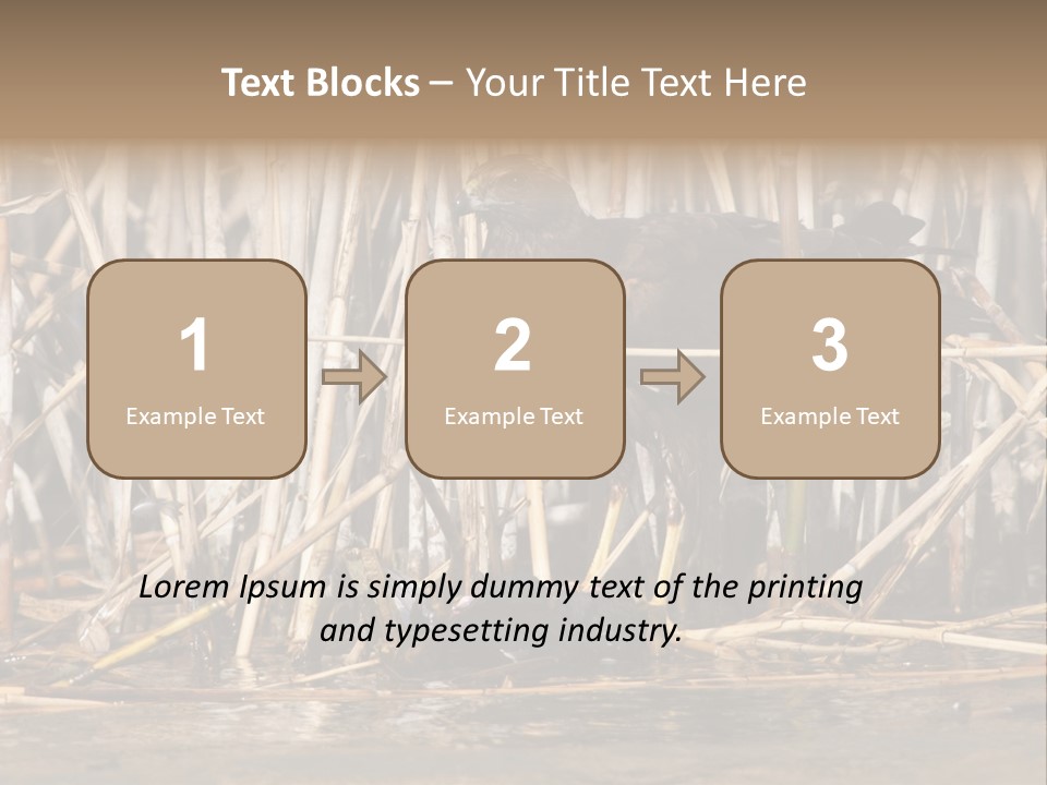 Harrier Brown Predator PowerPoint Template