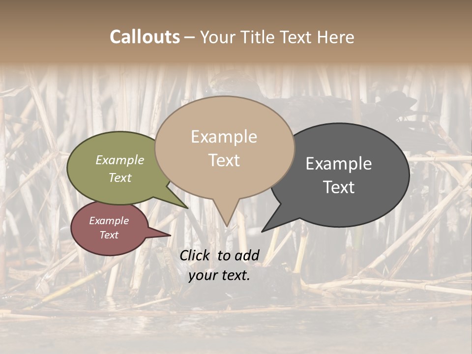 Harrier Brown Predator PowerPoint Template