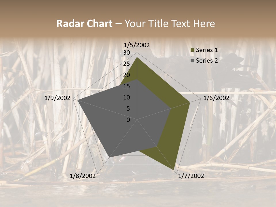 Harrier Brown Predator PowerPoint Template