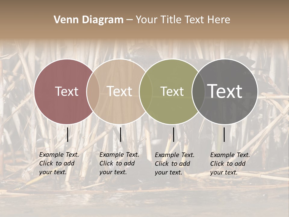 Harrier Brown Predator PowerPoint Template