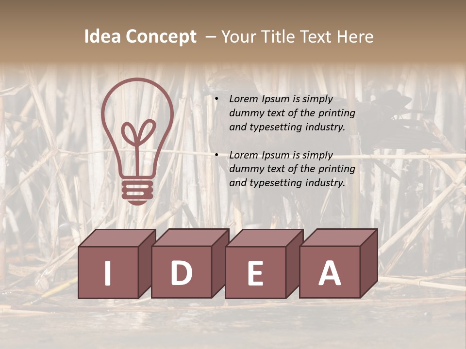 Harrier Brown Predator PowerPoint Template