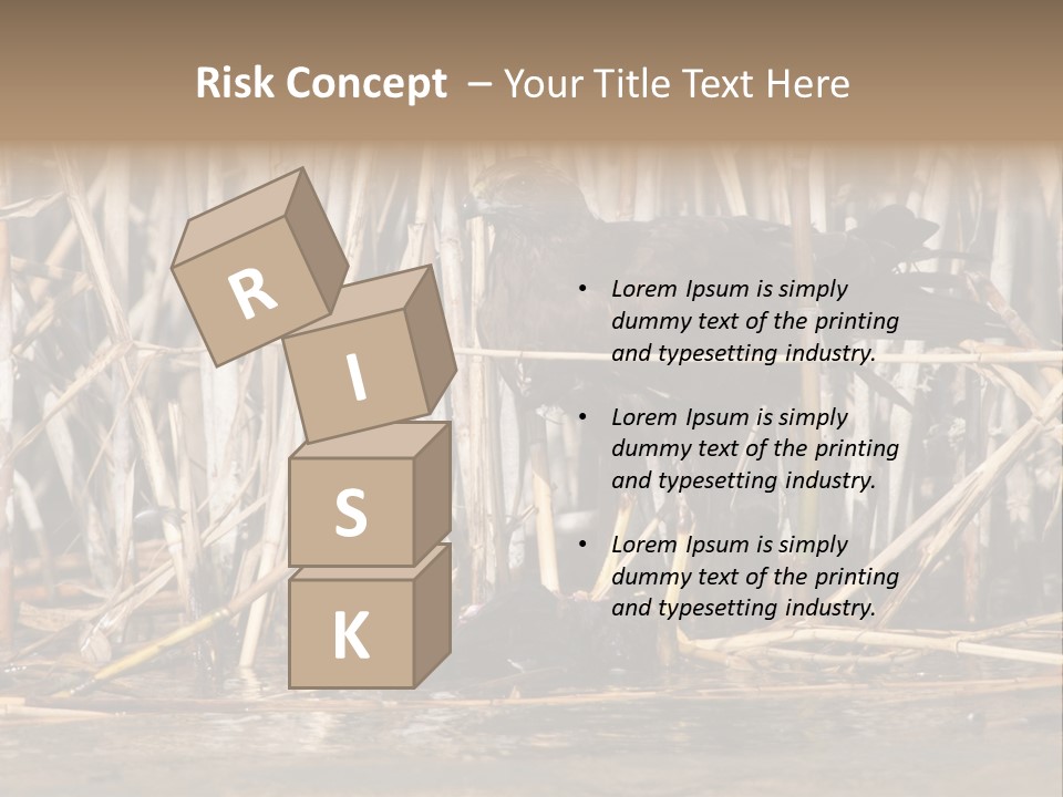 Harrier Brown Predator PowerPoint Template