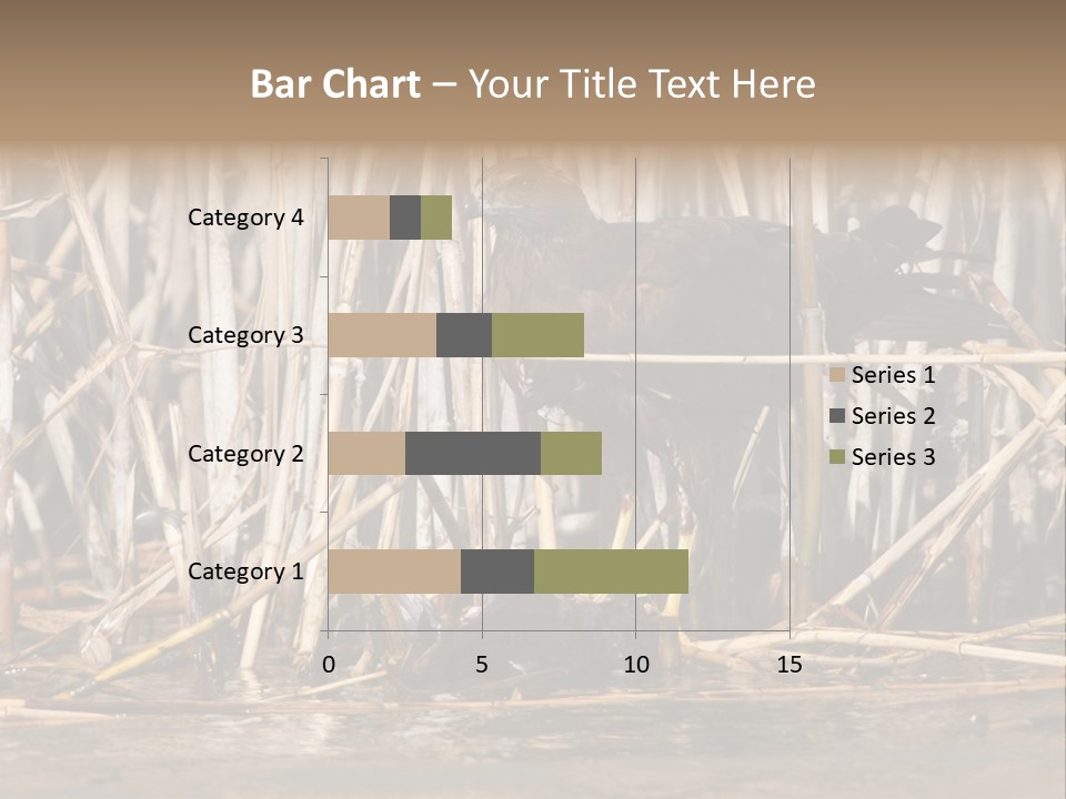 Harrier Brown Predator PowerPoint Template