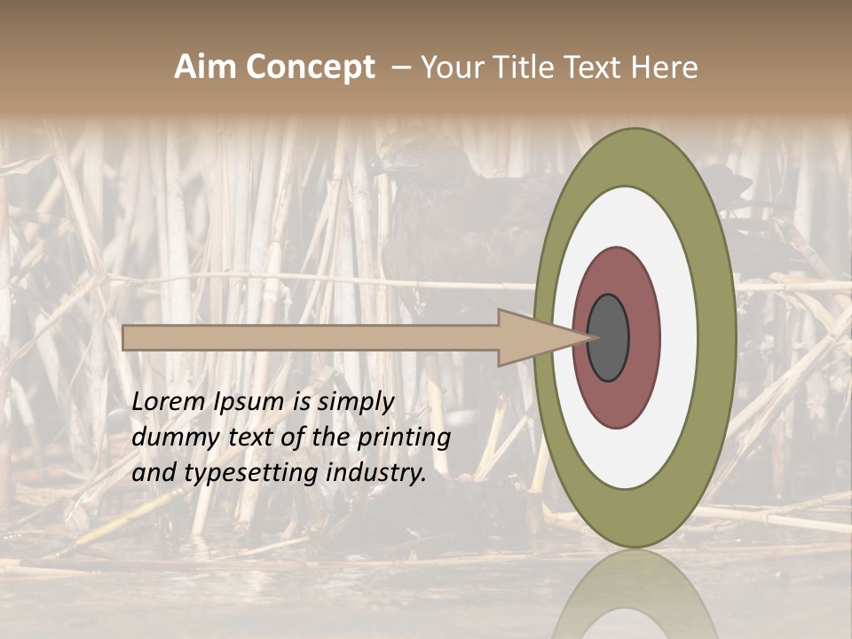 Harrier Brown Predator PowerPoint Template