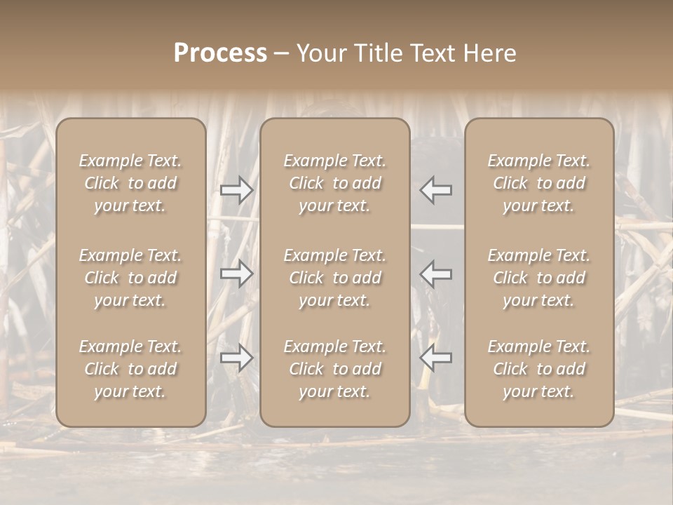 Harrier Brown Predator PowerPoint Template