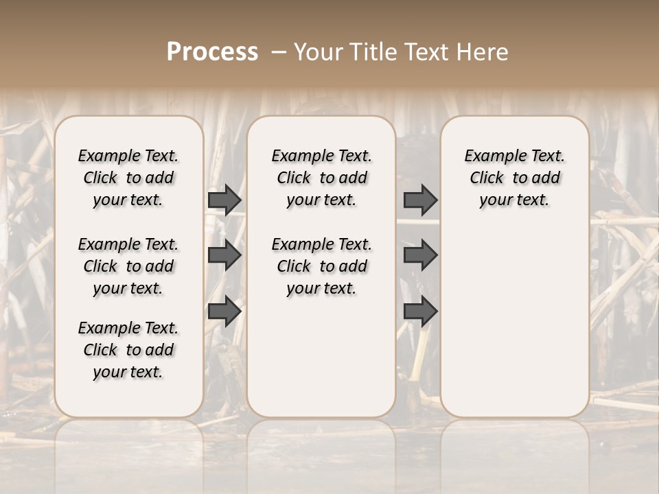 Harrier Brown Predator PowerPoint Template