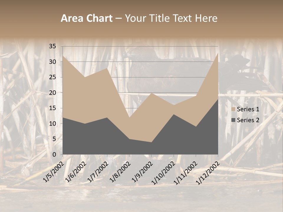 Harrier Brown Predator PowerPoint Template