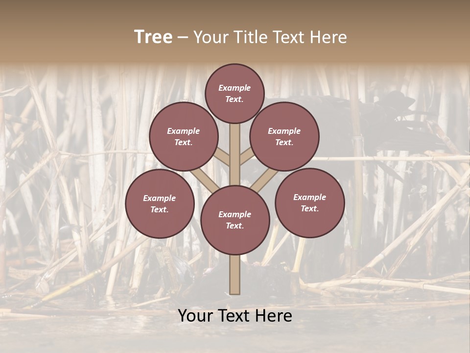 Harrier Brown Predator PowerPoint Template