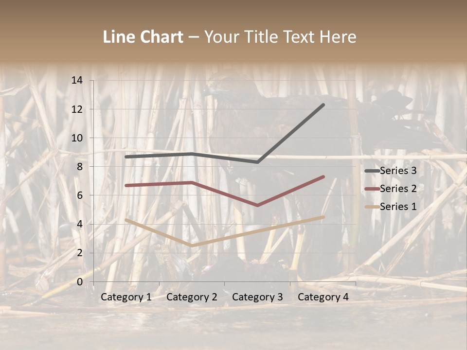 Harrier Brown Predator PowerPoint Template