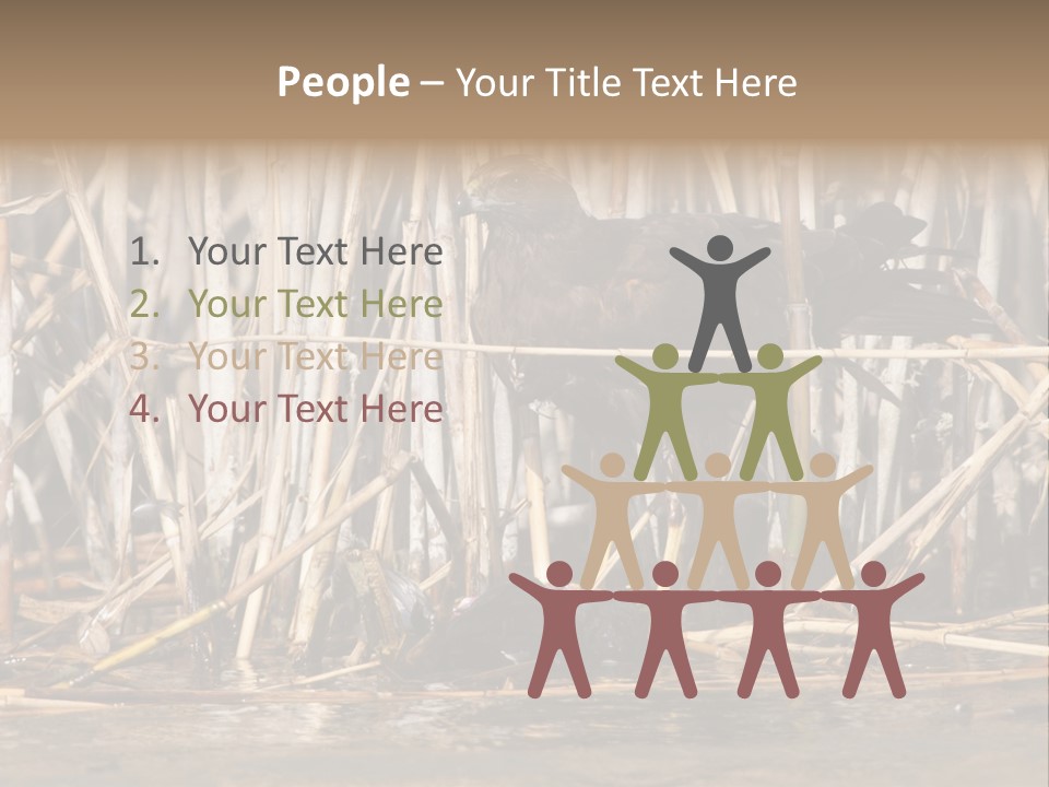 Harrier Brown Predator PowerPoint Template