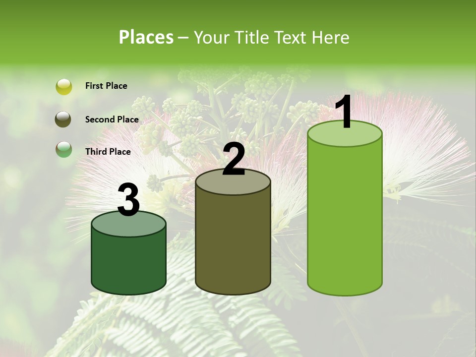 Majestic Acacia Silk PowerPoint Template