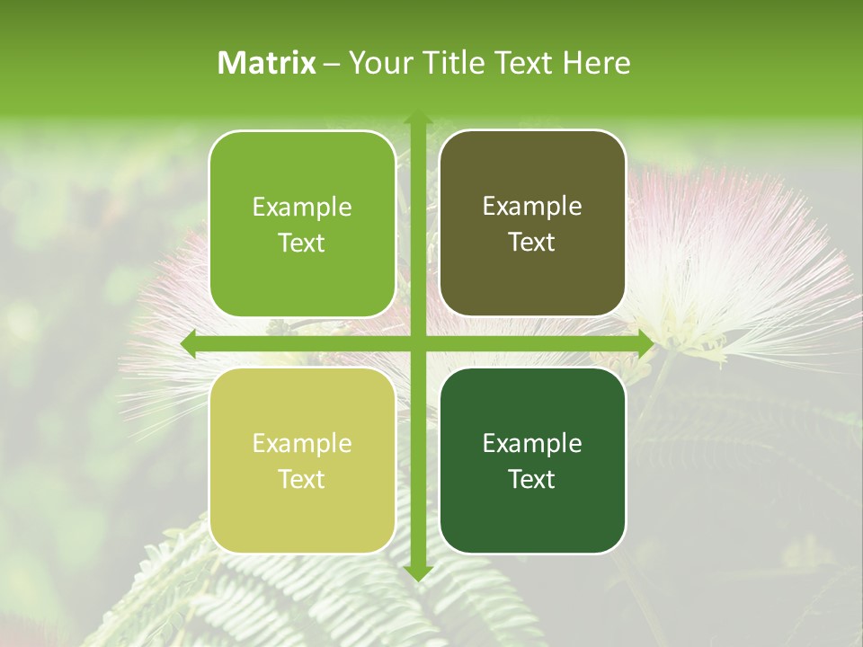 Majestic Acacia Silk PowerPoint Template