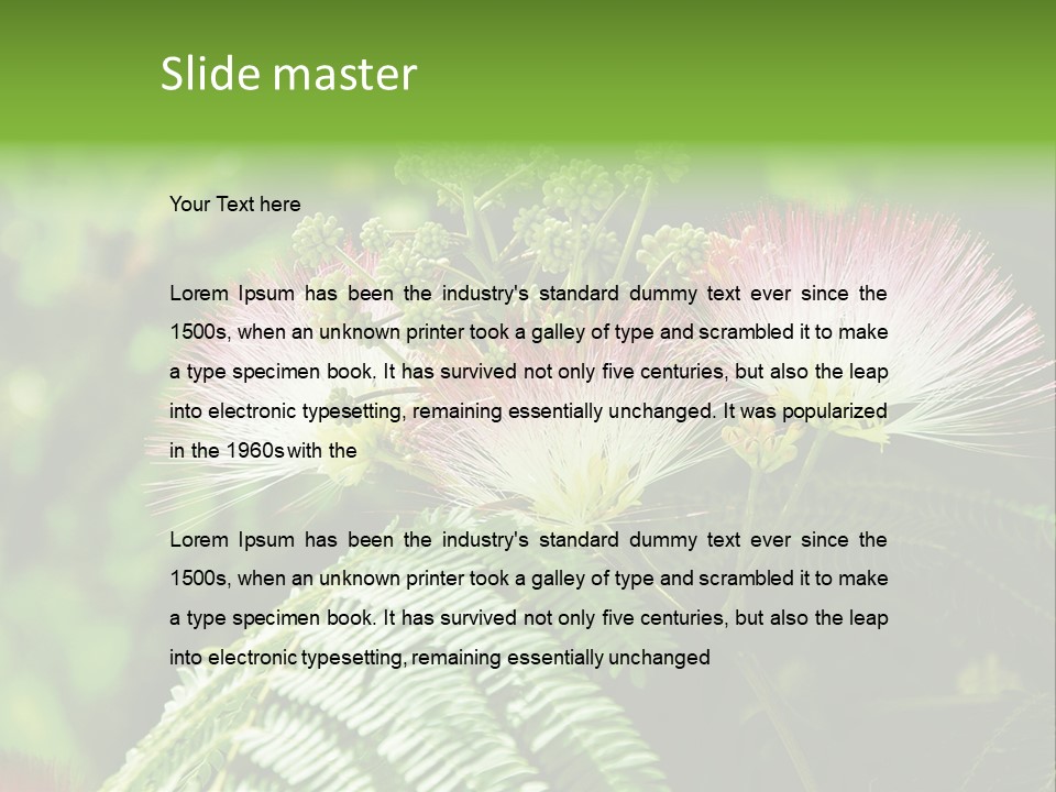 Majestic Acacia Silk PowerPoint Template