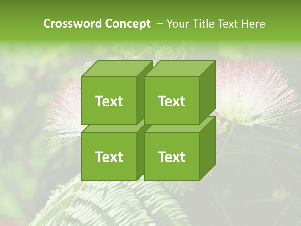 Majestic Acacia Silk PowerPoint Template