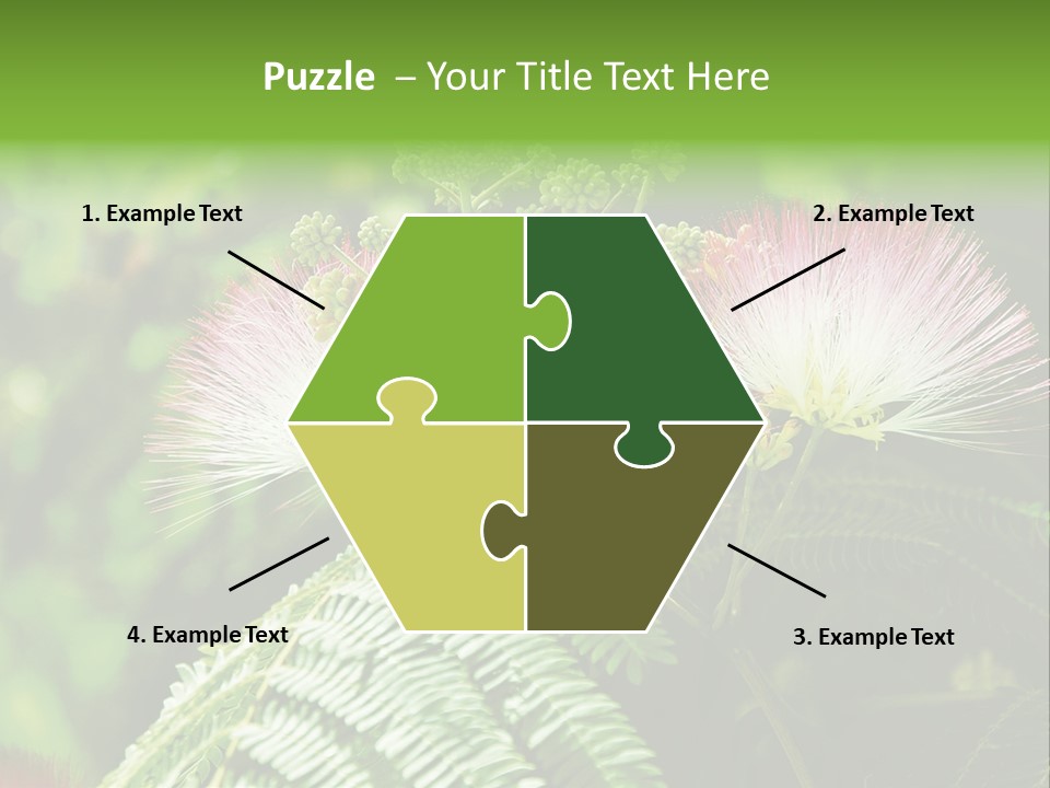 Majestic Acacia Silk PowerPoint Template