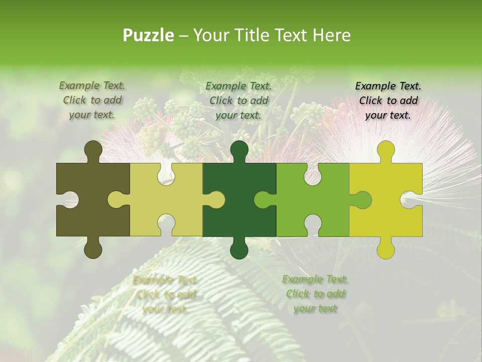 Majestic Acacia Silk PowerPoint Template