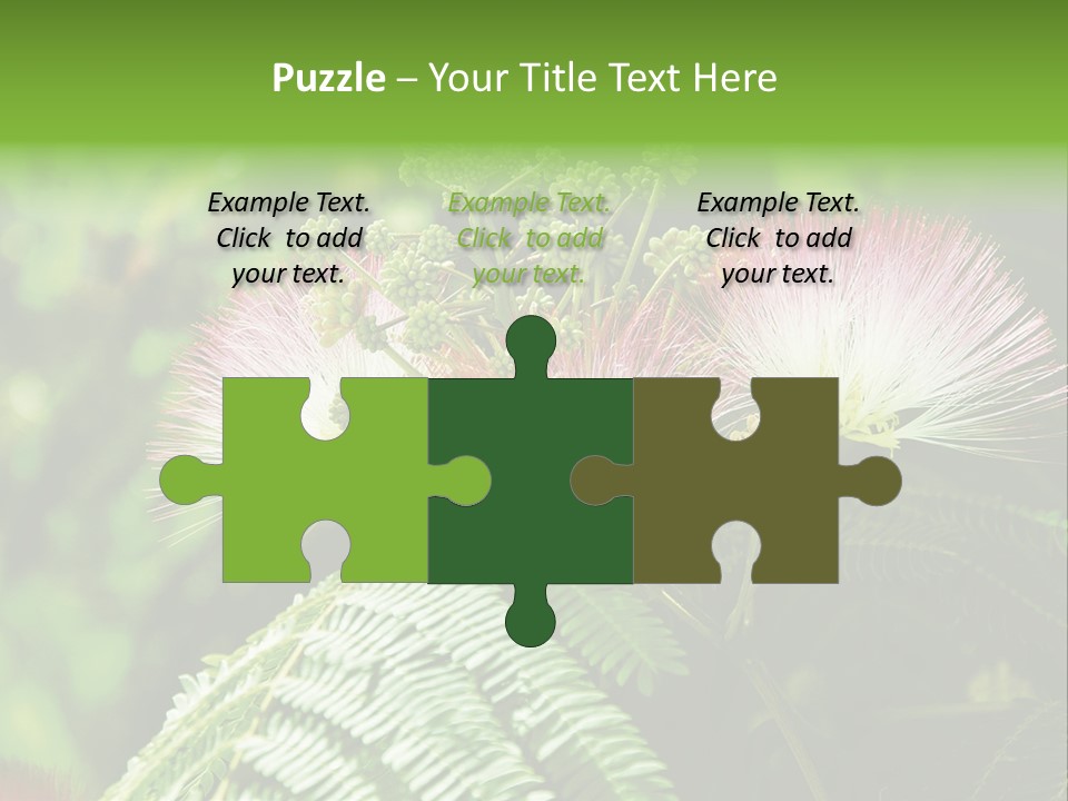 Majestic Acacia Silk PowerPoint Template