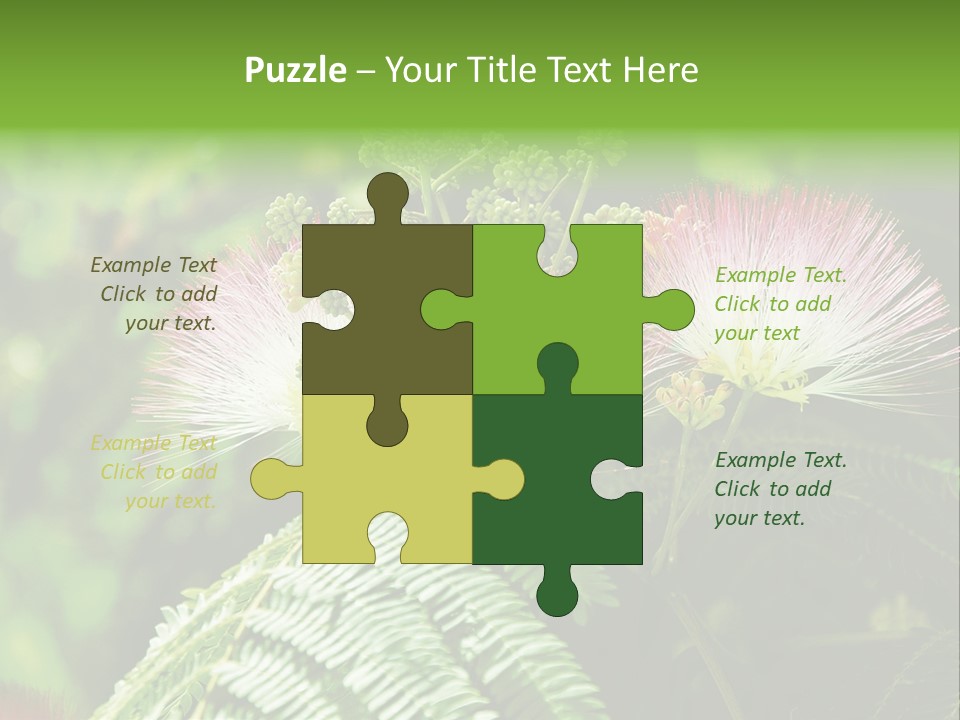 Majestic Acacia Silk PowerPoint Template