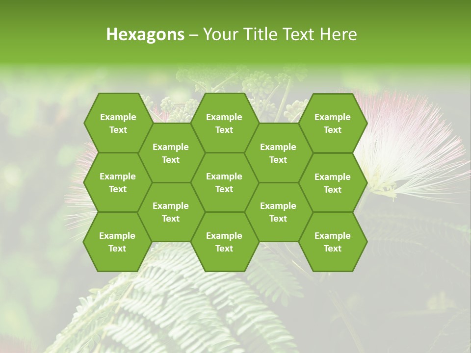 Majestic Acacia Silk PowerPoint Template