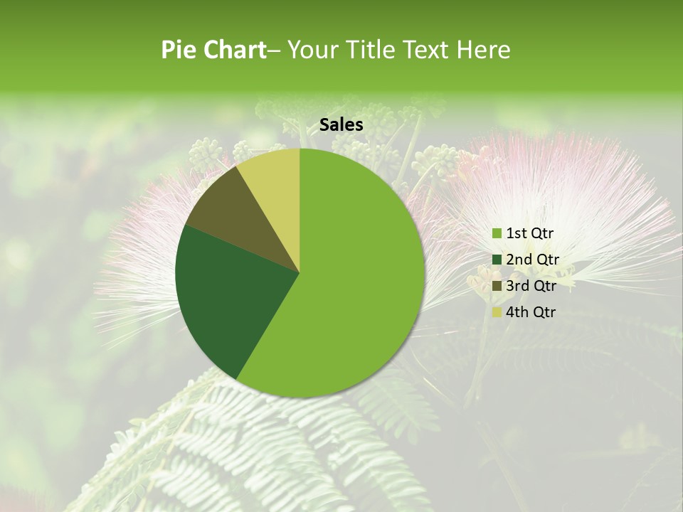 Majestic Acacia Silk PowerPoint Template