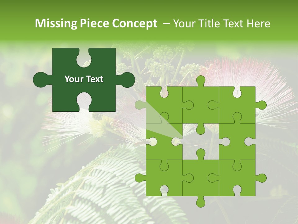 Majestic Acacia Silk PowerPoint Template