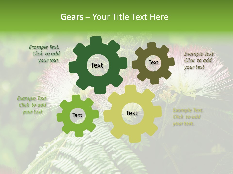 Majestic Acacia Silk PowerPoint Template