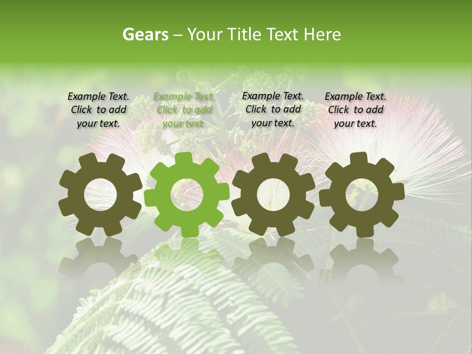 Majestic Acacia Silk PowerPoint Template