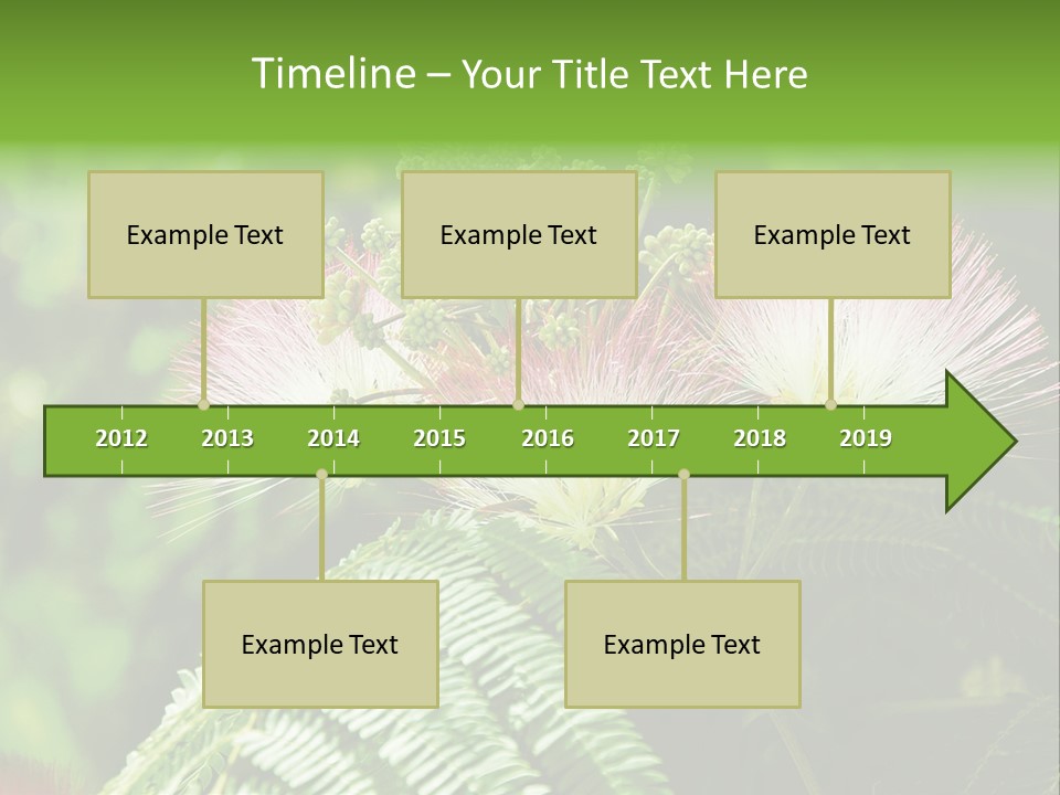 Majestic Acacia Silk PowerPoint Template