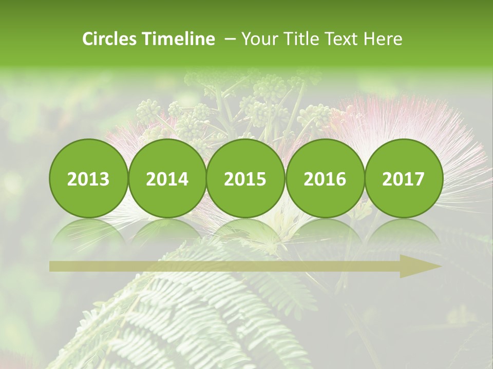 Majestic Acacia Silk PowerPoint Template