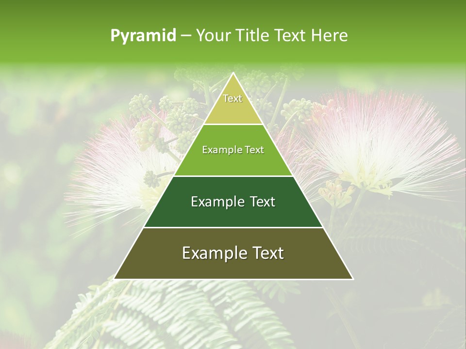 Majestic Acacia Silk PowerPoint Template