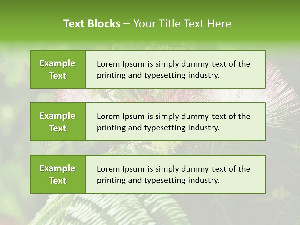 Majestic Acacia Silk PowerPoint Template