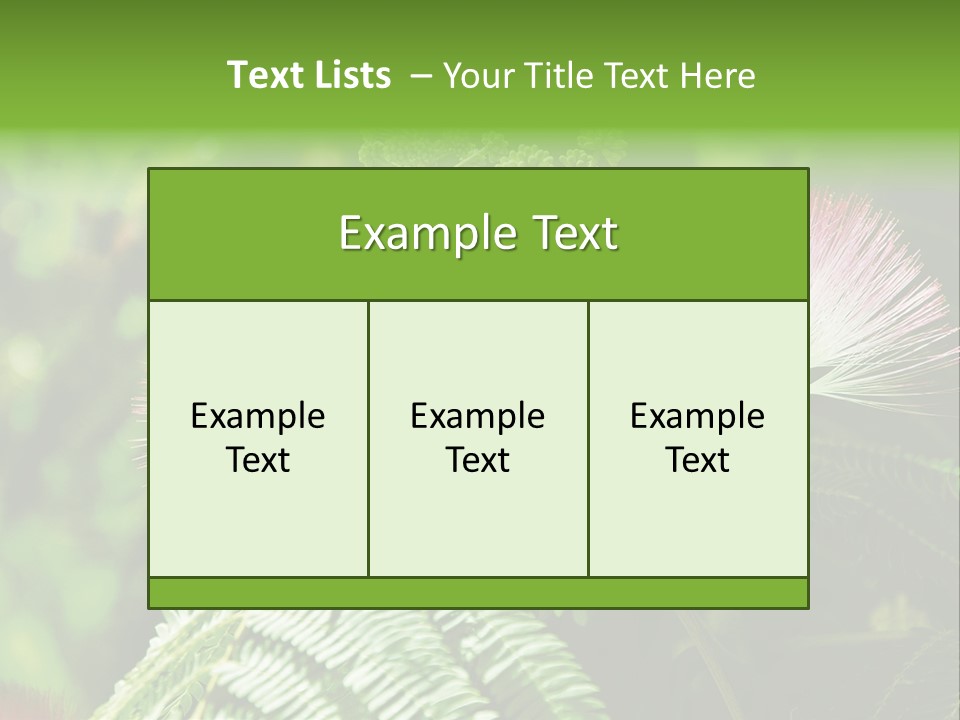 Majestic Acacia Silk PowerPoint Template