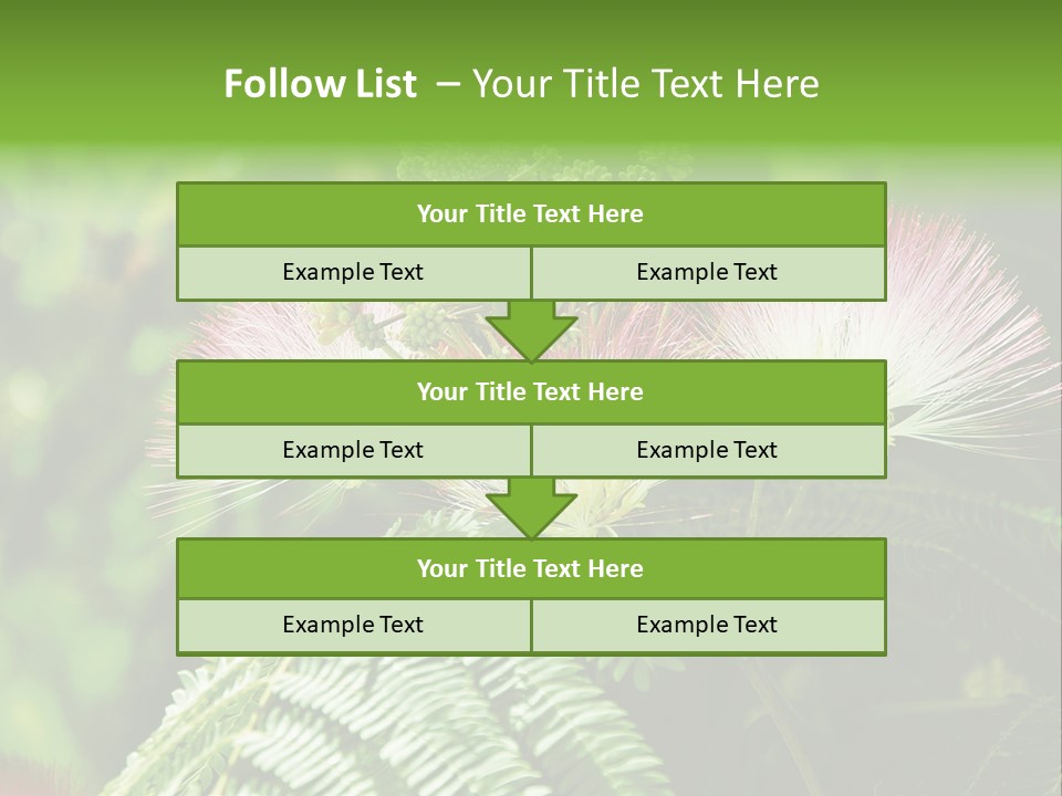 Majestic Acacia Silk PowerPoint Template