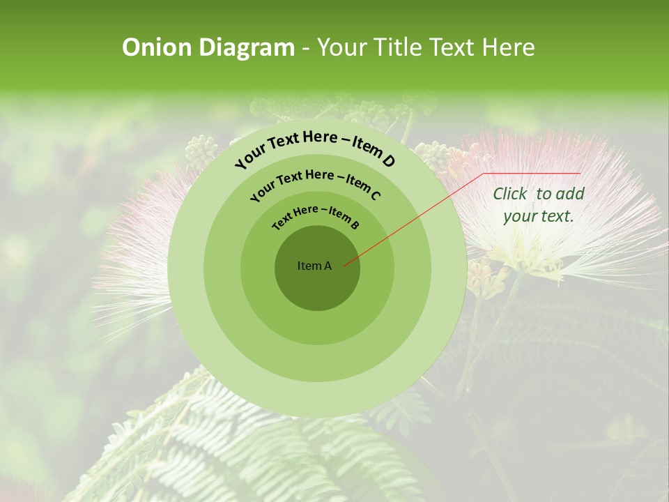 Majestic Acacia Silk PowerPoint Template