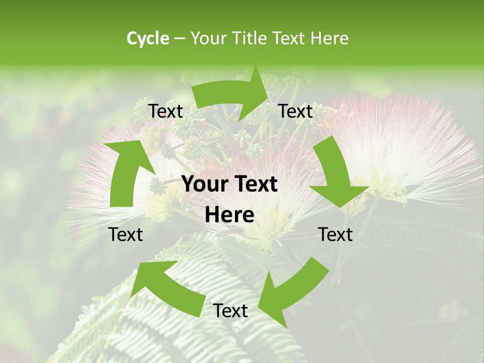 Majestic Acacia Silk PowerPoint Template