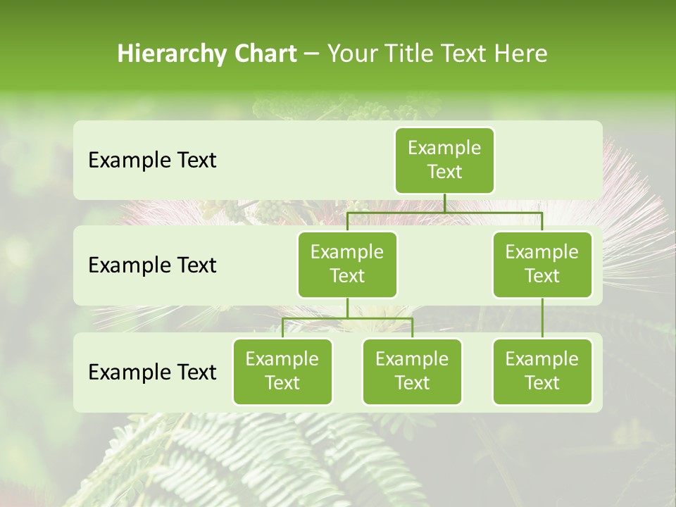 Majestic Acacia Silk PowerPoint Template