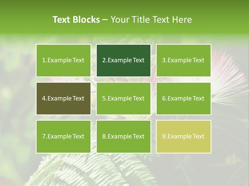 Majestic Acacia Silk PowerPoint Template