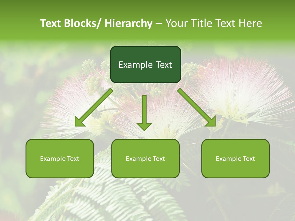 Majestic Acacia Silk PowerPoint Template