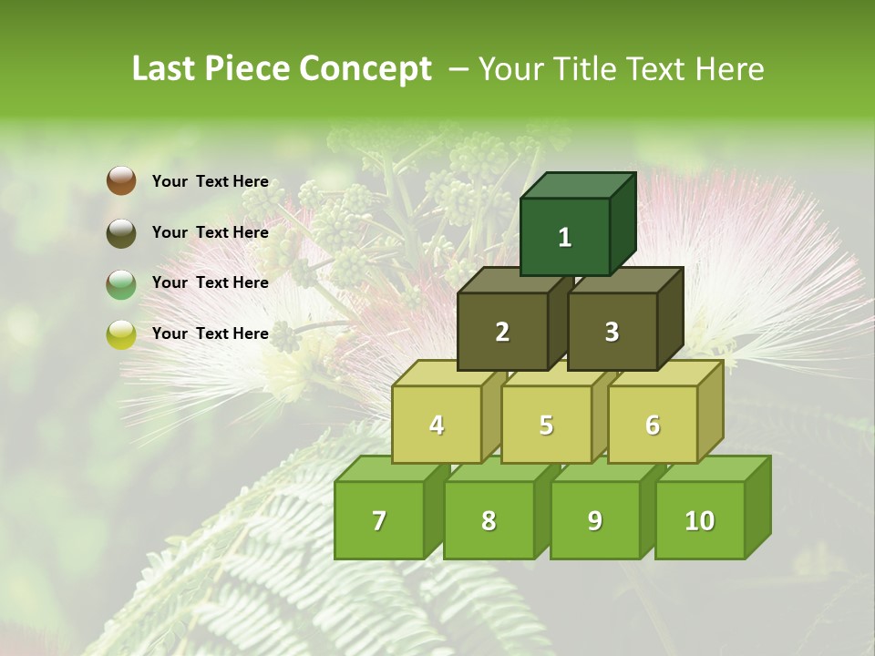 Majestic Acacia Silk PowerPoint Template