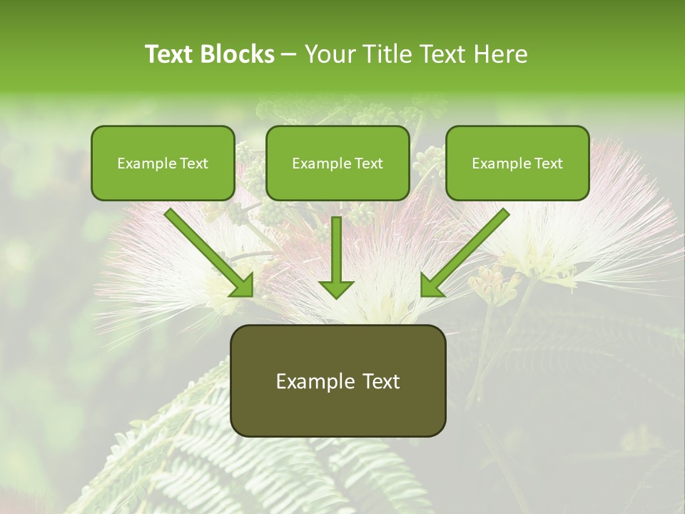 Majestic Acacia Silk PowerPoint Template