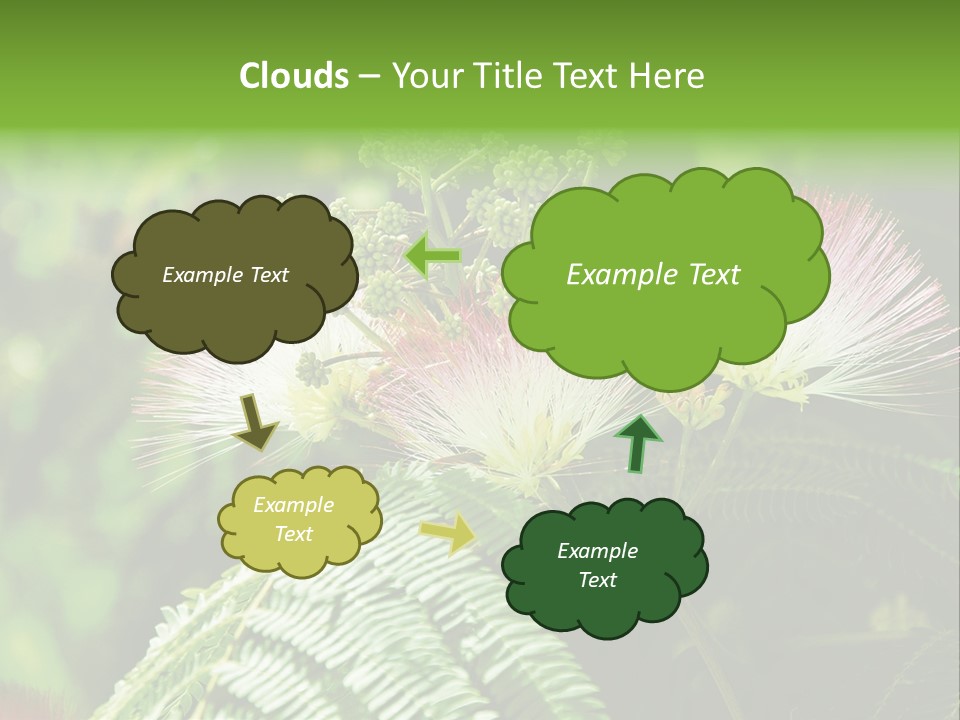 Majestic Acacia Silk PowerPoint Template