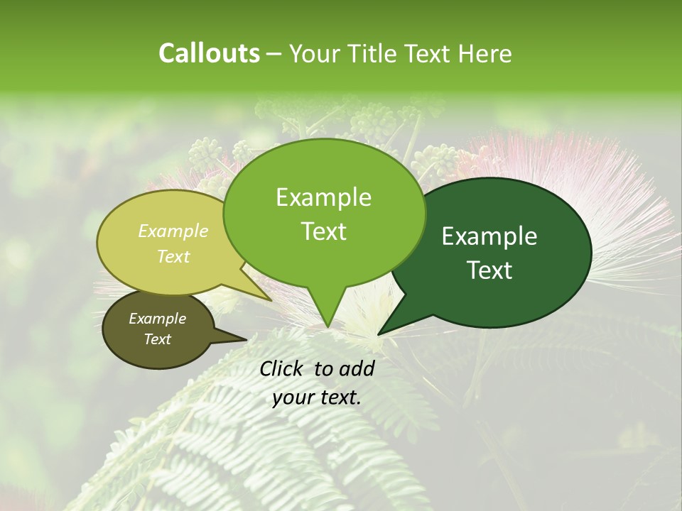 Majestic Acacia Silk PowerPoint Template