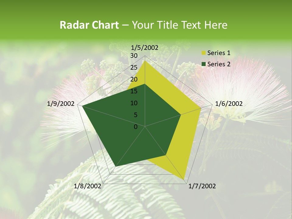 Majestic Acacia Silk PowerPoint Template