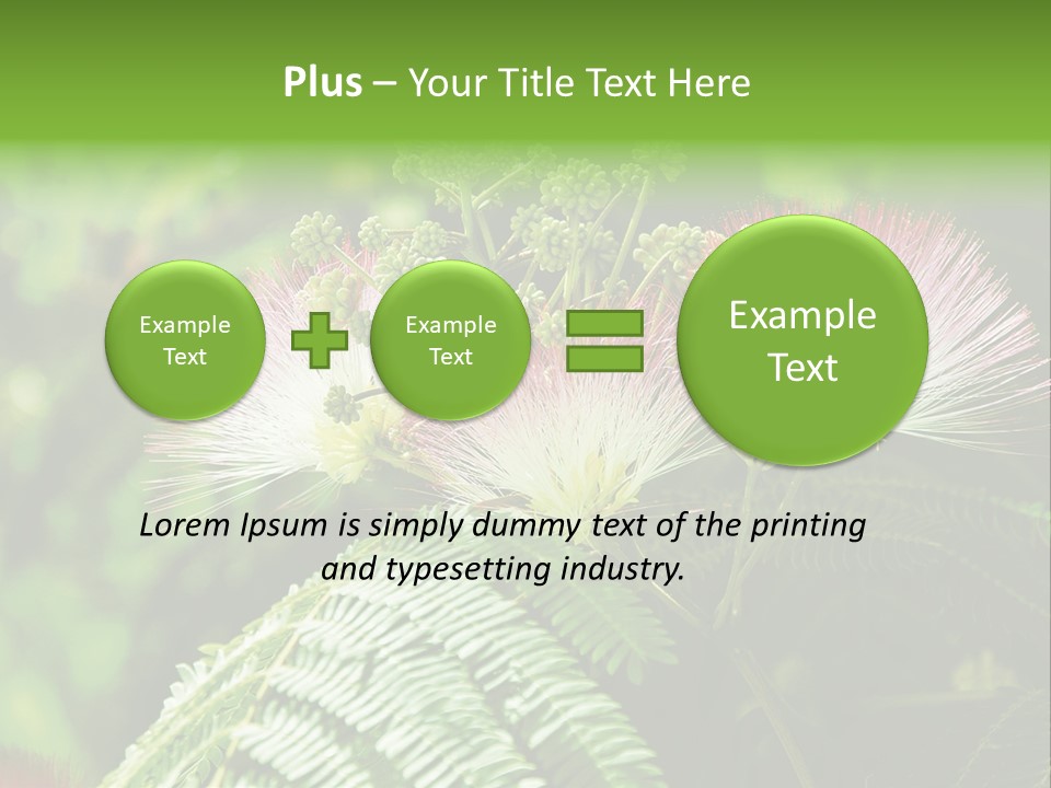 Majestic Acacia Silk PowerPoint Template