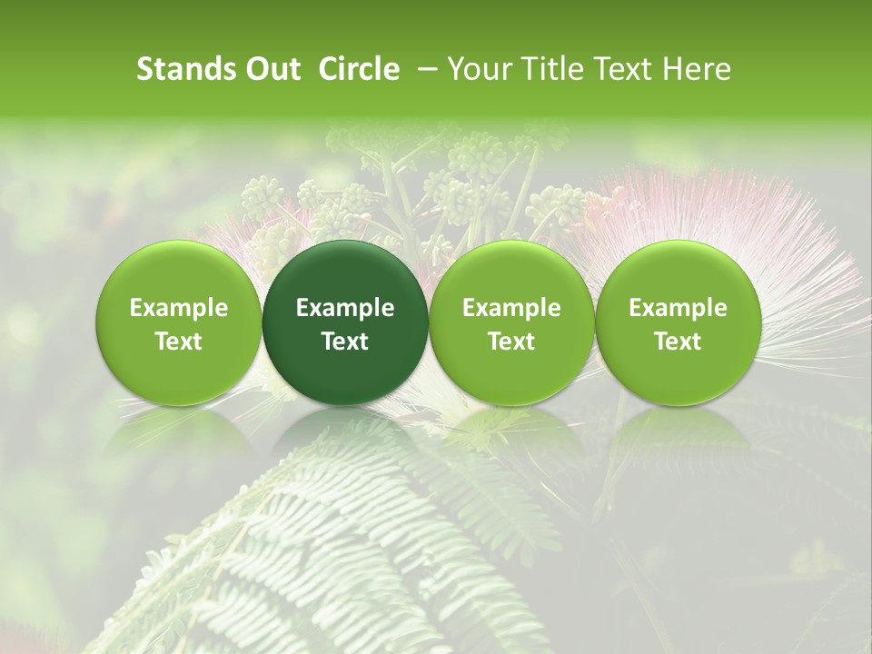 Majestic Acacia Silk PowerPoint Template
