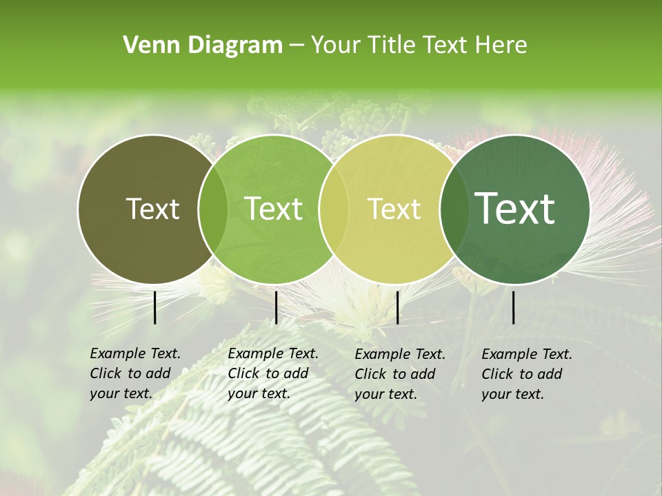 Majestic Acacia Silk PowerPoint Template