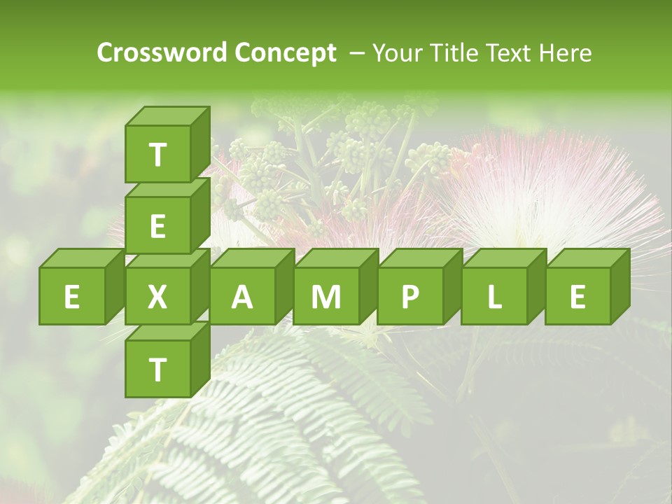 Majestic Acacia Silk PowerPoint Template