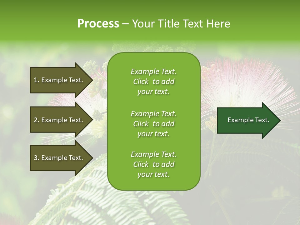 Majestic Acacia Silk PowerPoint Template