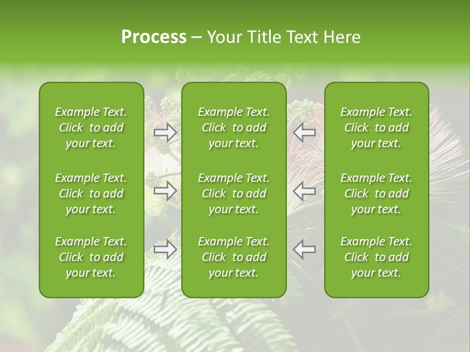 Majestic Acacia Silk PowerPoint Template